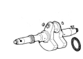 ALB.GOM.COMPL.3LD510