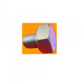 Tappo10X1,5 zincato per motori kohler 3LD510