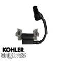 MODULE IGN (#1458416S)                  