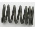 SPRING, INTAKE VALVE