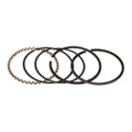 RINGS .010