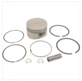 KIT, PISTON W/RING SET STD-(#DSC)
